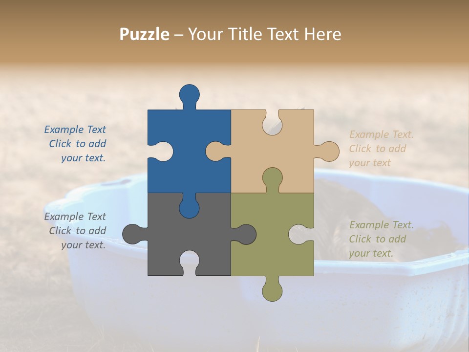 A Dog Sitting In A Blue Tub With His Tongue Out PowerPoint Template