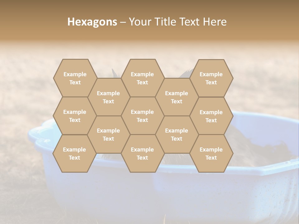 A Dog Sitting In A Blue Tub With His Tongue Out PowerPoint Template