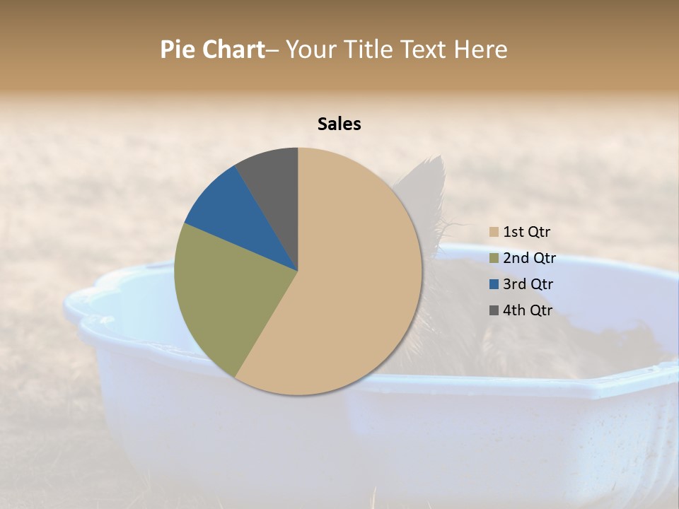 A Dog Sitting In A Blue Tub With His Tongue Out PowerPoint Template
