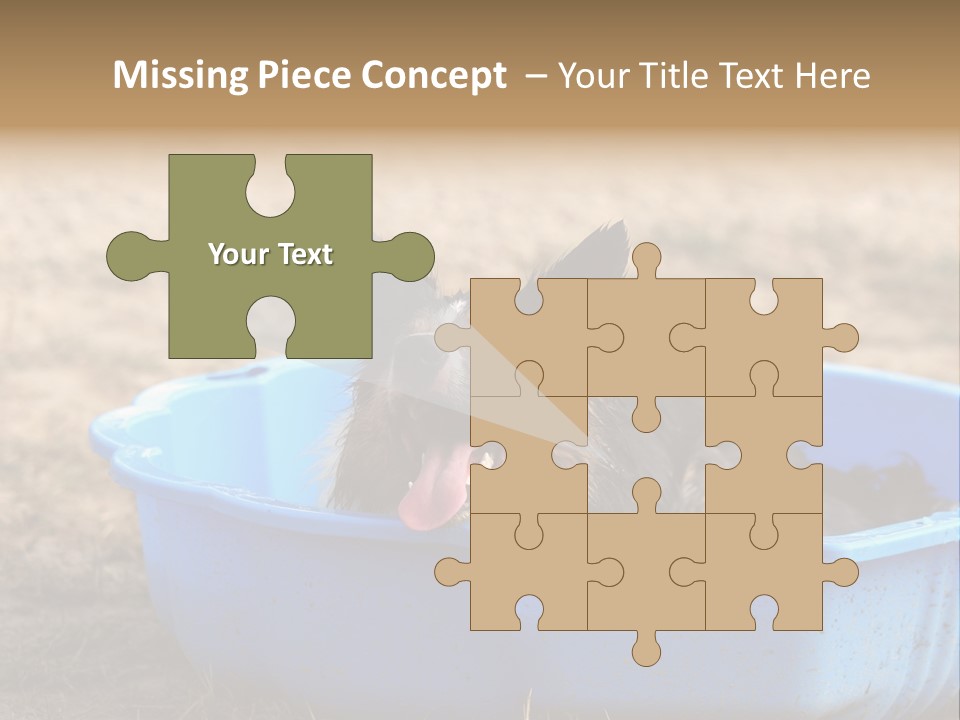 A Dog Sitting In A Blue Tub With His Tongue Out PowerPoint Template