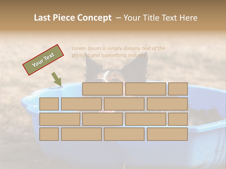 A Dog Sitting In A Blue Tub With His Tongue Out PowerPoint Template