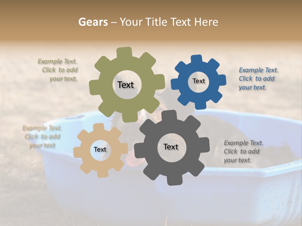 A Dog Sitting In A Blue Tub With His Tongue Out PowerPoint Template