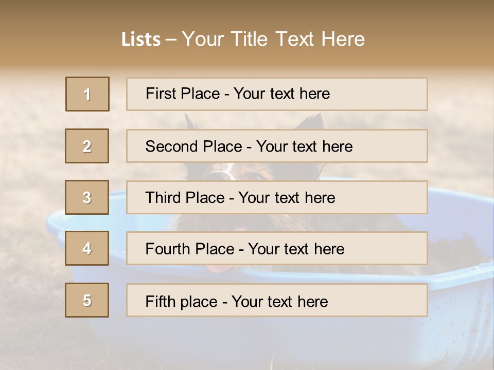 A Dog Sitting In A Blue Tub With His Tongue Out PowerPoint Template