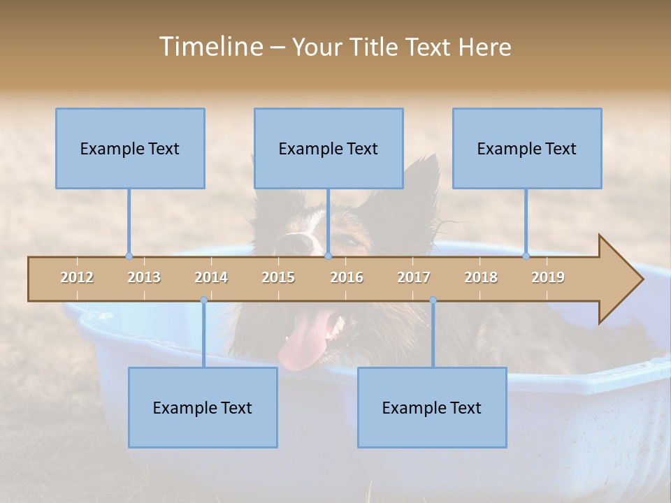 A Dog Sitting In A Blue Tub With His Tongue Out PowerPoint Template