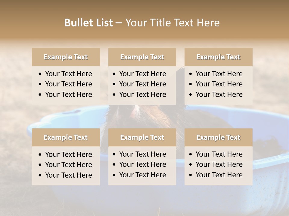 A Dog Sitting In A Blue Tub With His Tongue Out PowerPoint Template