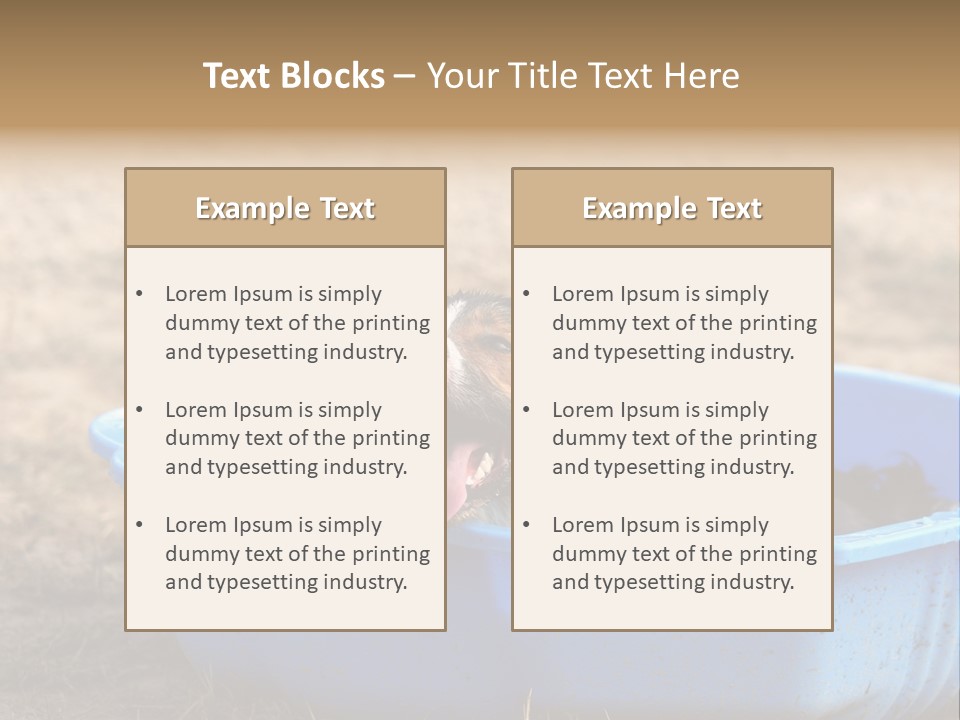 A Dog Sitting In A Blue Tub With His Tongue Out PowerPoint Template