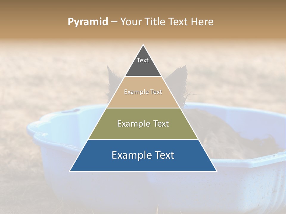 A Dog Sitting In A Blue Tub With His Tongue Out PowerPoint Template