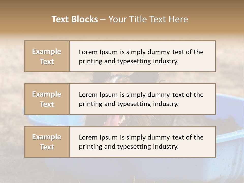 A Dog Sitting In A Blue Tub With His Tongue Out PowerPoint Template