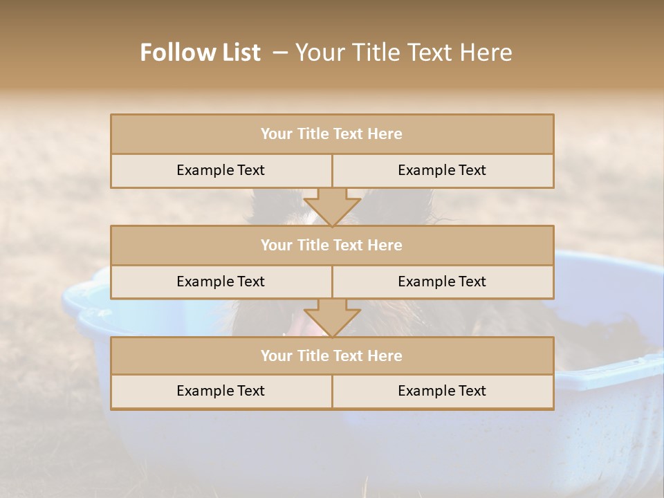 A Dog Sitting In A Blue Tub With His Tongue Out PowerPoint Template