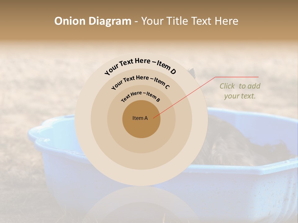 A Dog Sitting In A Blue Tub With His Tongue Out PowerPoint Template