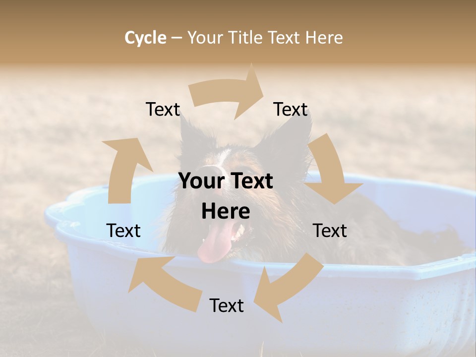 A Dog Sitting In A Blue Tub With His Tongue Out PowerPoint Template