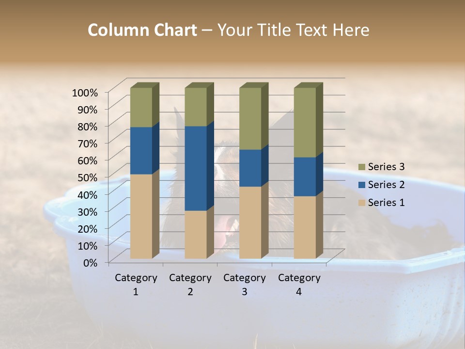 A Dog Sitting In A Blue Tub With His Tongue Out PowerPoint Template