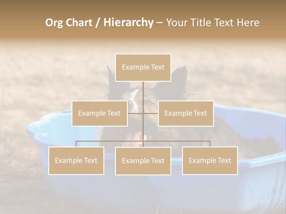 A Dog Sitting In A Blue Tub With His Tongue Out PowerPoint Template