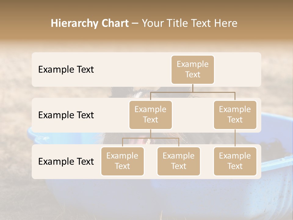 A Dog Sitting In A Blue Tub With His Tongue Out PowerPoint Template