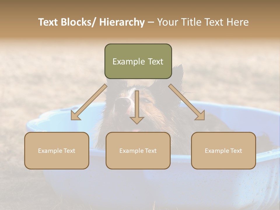 A Dog Sitting In A Blue Tub With His Tongue Out PowerPoint Template