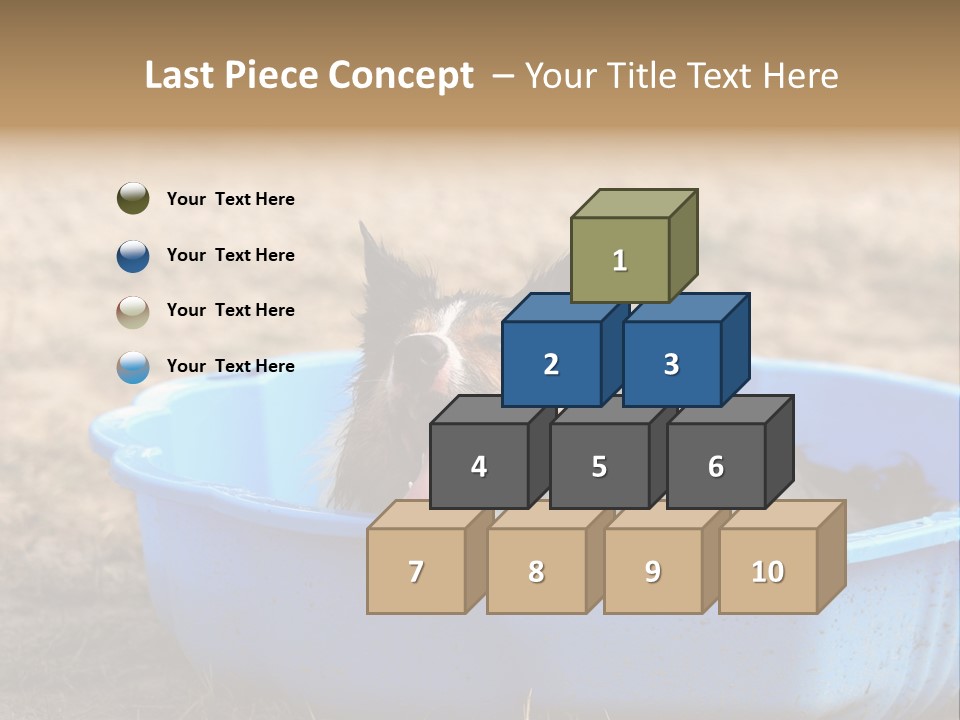 A Dog Sitting In A Blue Tub With His Tongue Out PowerPoint Template