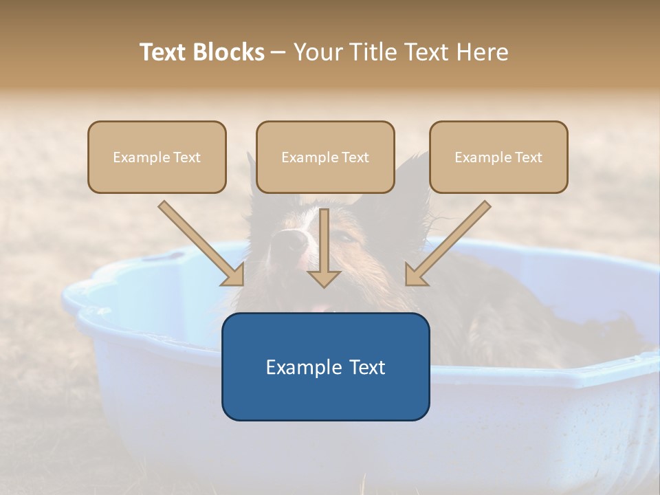 A Dog Sitting In A Blue Tub With His Tongue Out PowerPoint Template