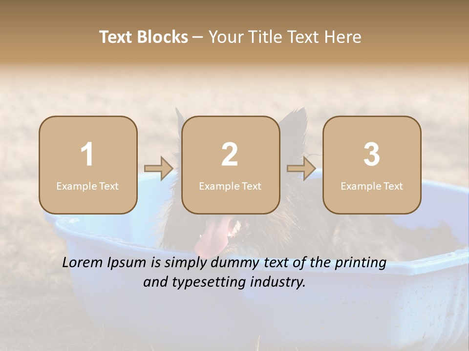 A Dog Sitting In A Blue Tub With His Tongue Out PowerPoint Template