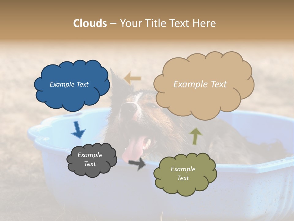 A Dog Sitting In A Blue Tub With His Tongue Out PowerPoint Template