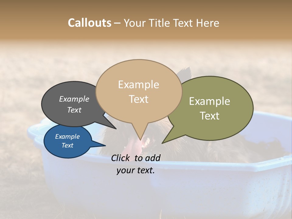 A Dog Sitting In A Blue Tub With His Tongue Out PowerPoint Template