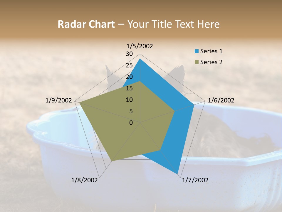 A Dog Sitting In A Blue Tub With His Tongue Out PowerPoint Template
