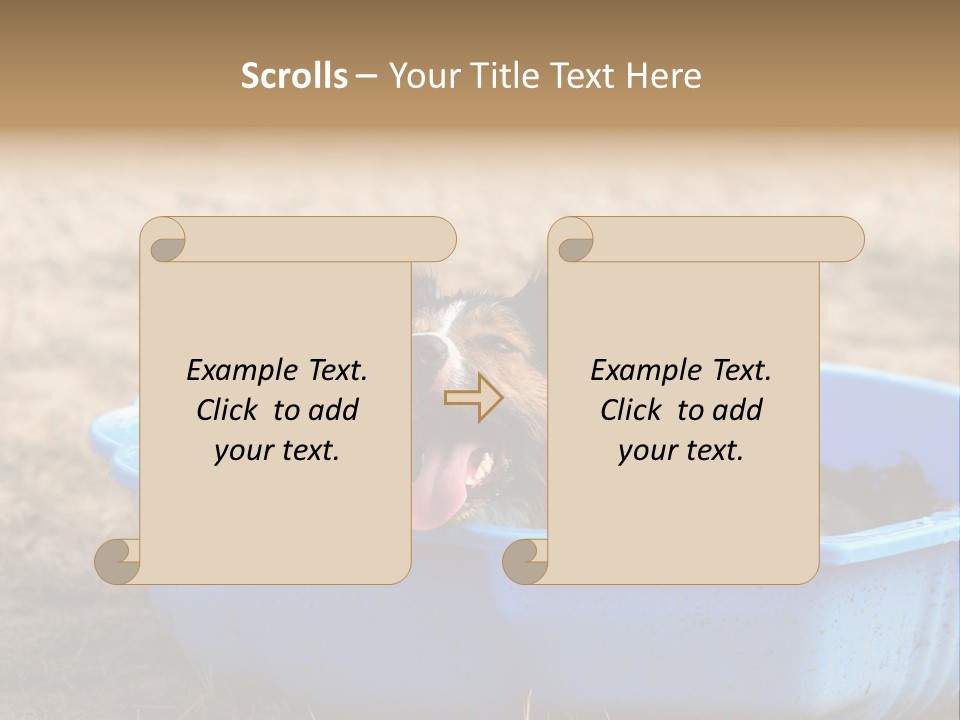 A Dog Sitting In A Blue Tub With His Tongue Out PowerPoint Template