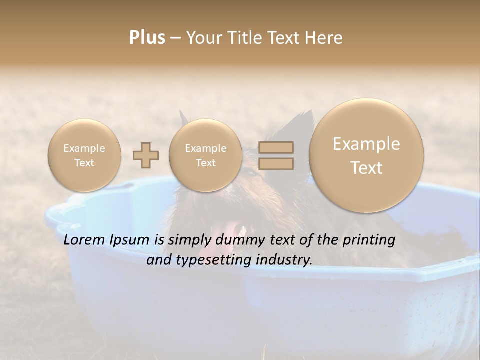 A Dog Sitting In A Blue Tub With His Tongue Out PowerPoint Template