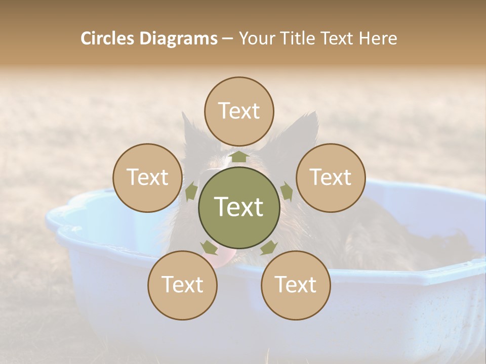 A Dog Sitting In A Blue Tub With His Tongue Out PowerPoint Template