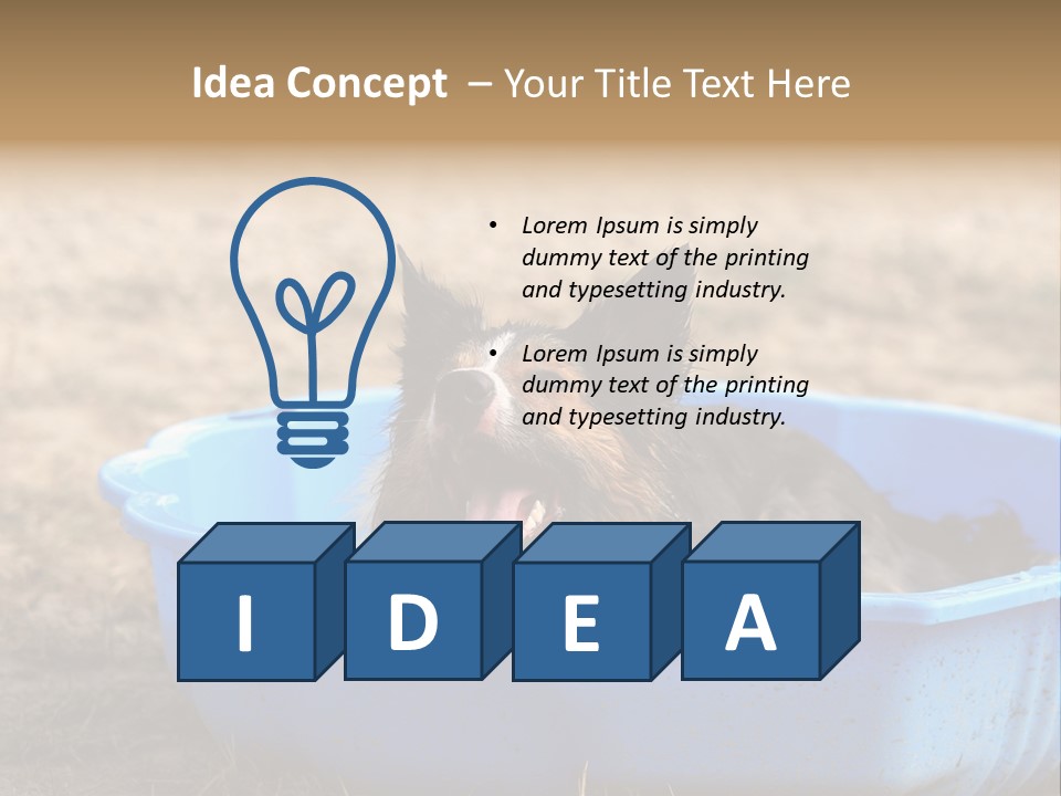 A Dog Sitting In A Blue Tub With His Tongue Out PowerPoint Template