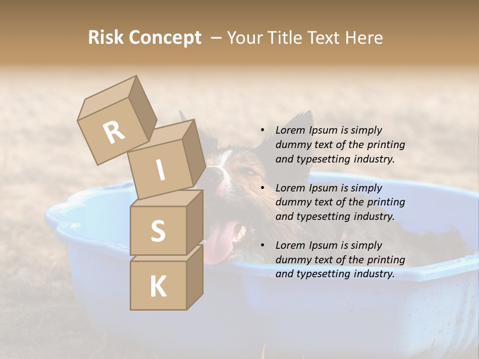 A Dog Sitting In A Blue Tub With His Tongue Out PowerPoint Template