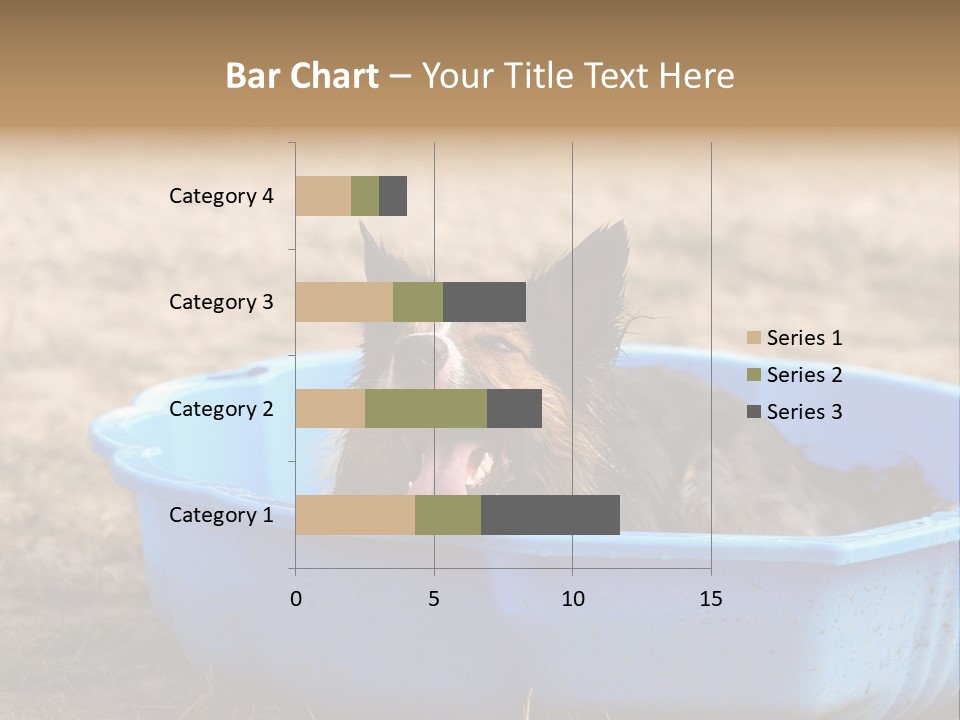 A Dog Sitting In A Blue Tub With His Tongue Out PowerPoint Template