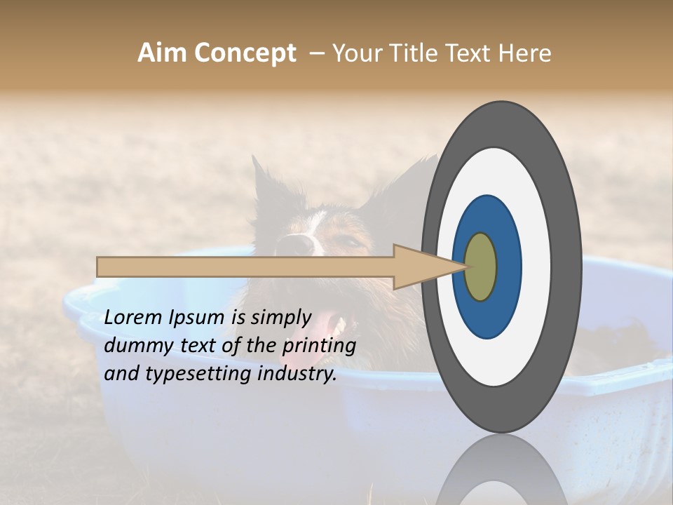 A Dog Sitting In A Blue Tub With His Tongue Out PowerPoint Template