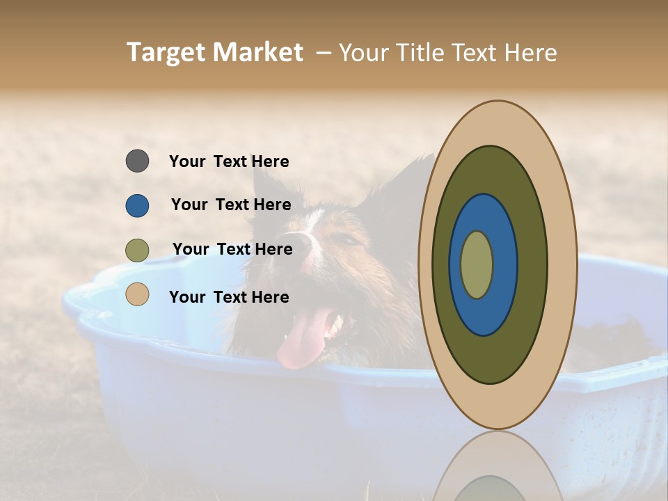 A Dog Sitting In A Blue Tub With His Tongue Out PowerPoint Template