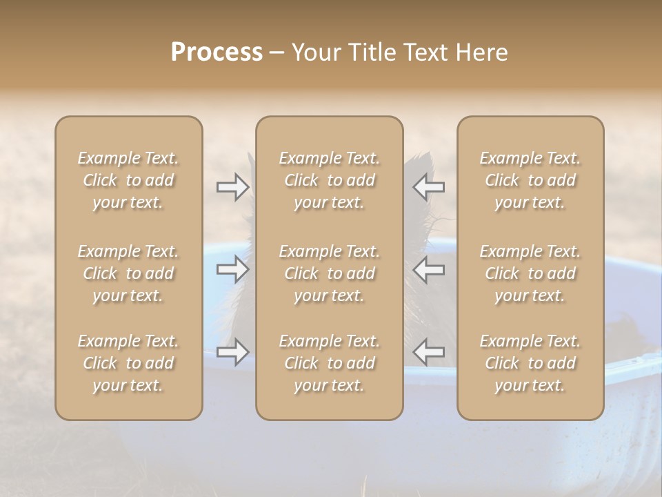 A Dog Sitting In A Blue Tub With His Tongue Out PowerPoint Template