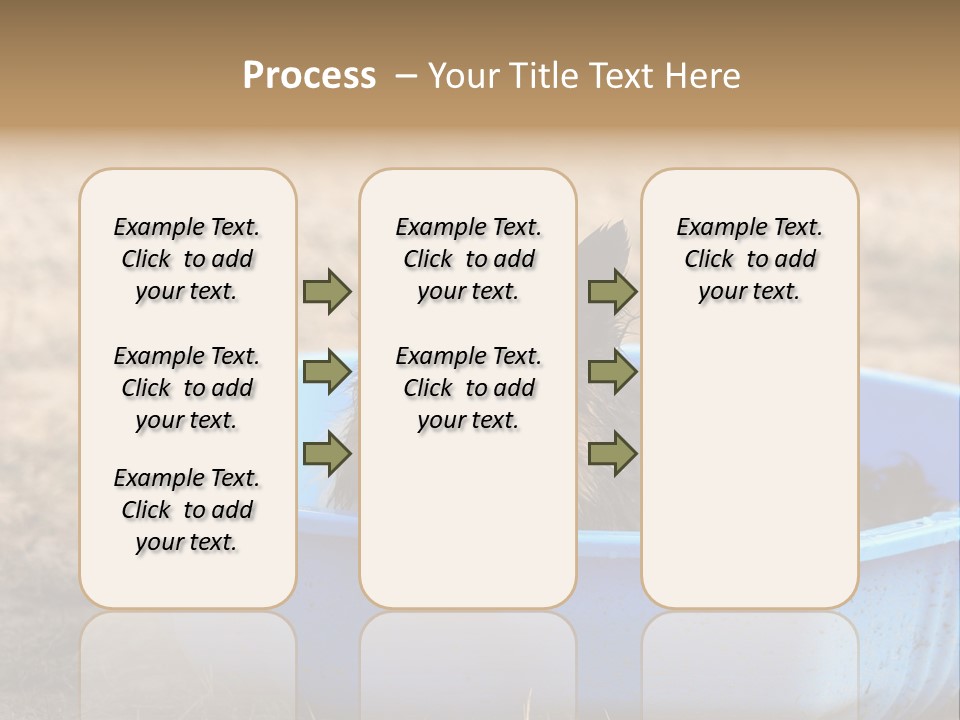 A Dog Sitting In A Blue Tub With His Tongue Out PowerPoint Template