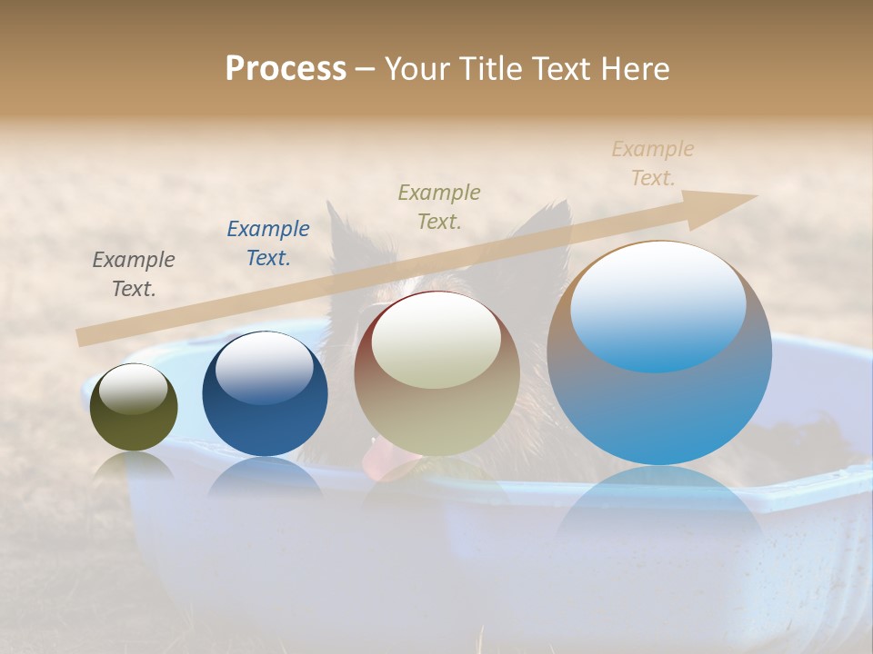 A Dog Sitting In A Blue Tub With His Tongue Out PowerPoint Template