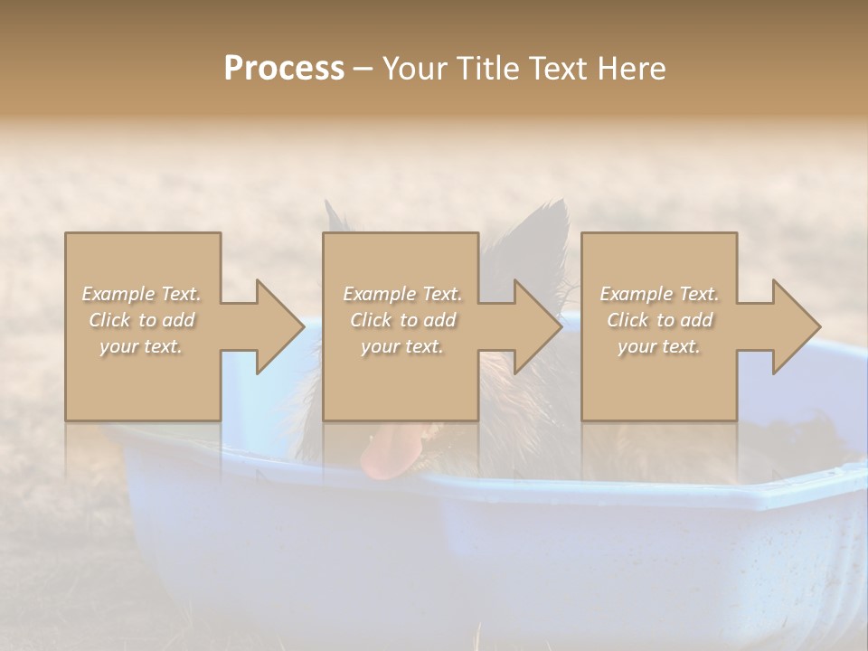 A Dog Sitting In A Blue Tub With His Tongue Out PowerPoint Template