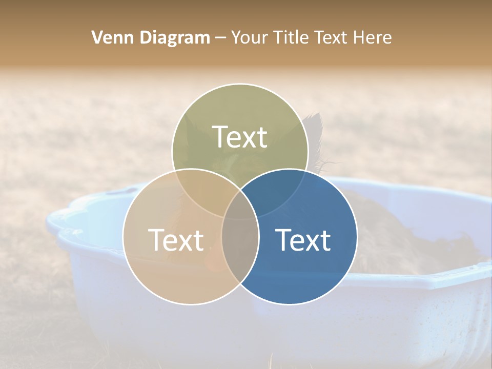 A Dog Sitting In A Blue Tub With His Tongue Out PowerPoint Template