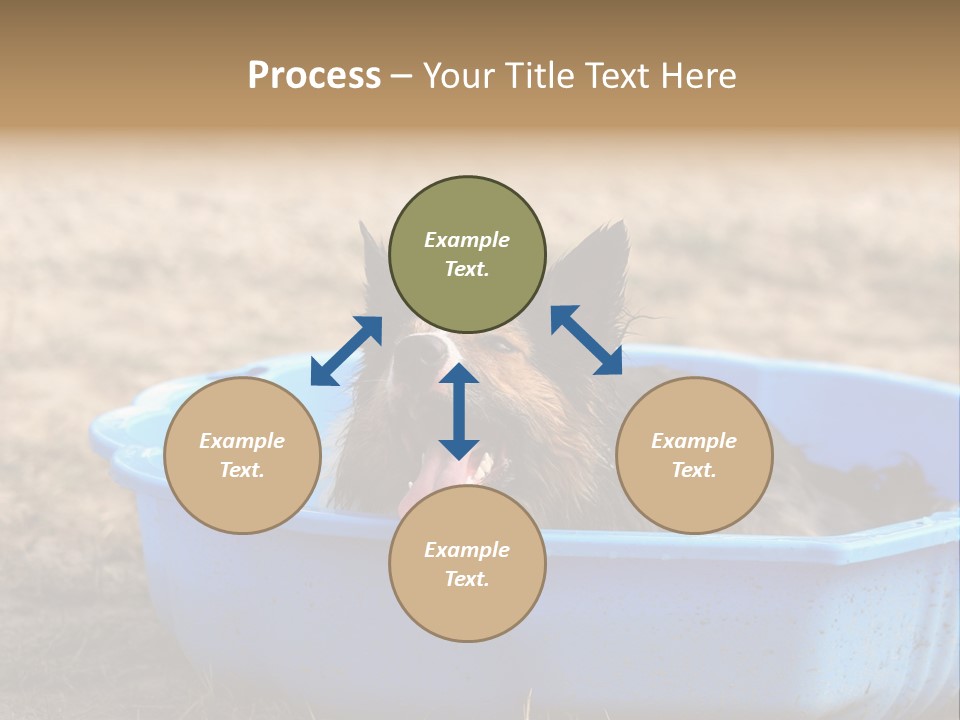 A Dog Sitting In A Blue Tub With His Tongue Out PowerPoint Template