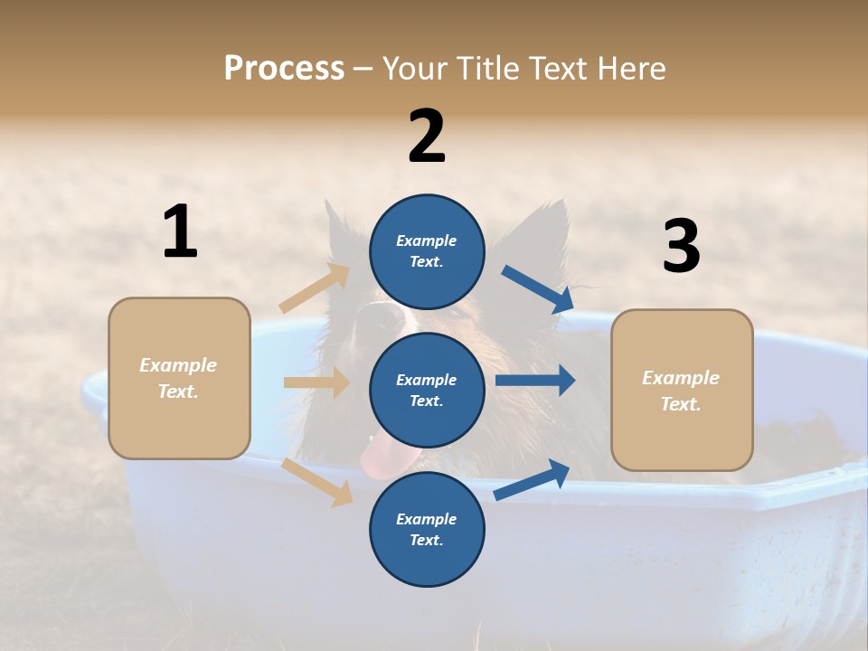 A Dog Sitting In A Blue Tub With His Tongue Out PowerPoint Template