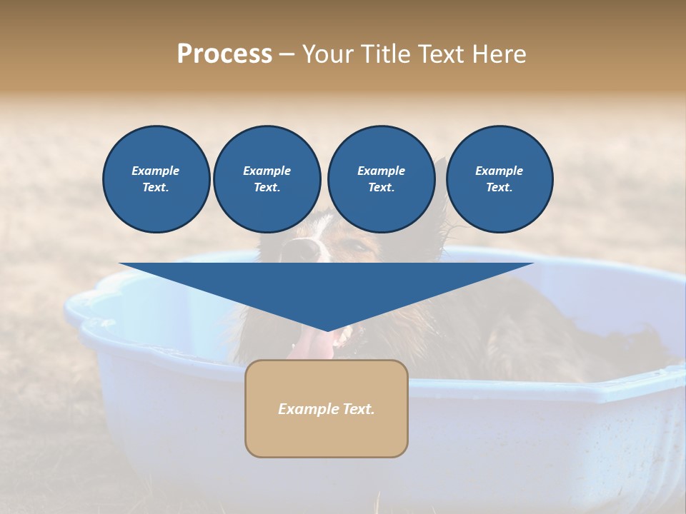 A Dog Sitting In A Blue Tub With His Tongue Out PowerPoint Template