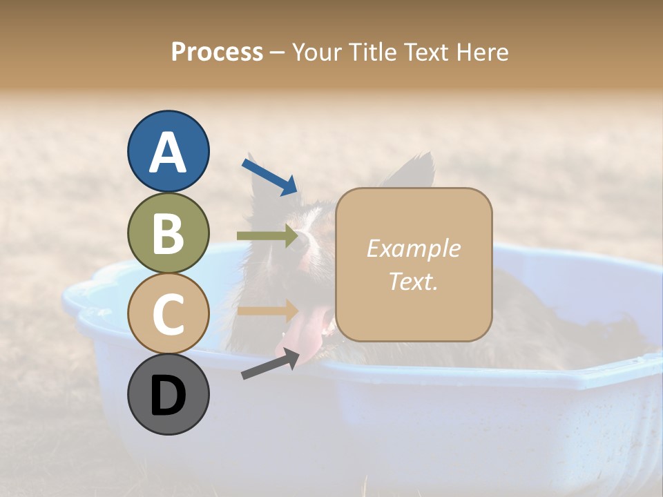A Dog Sitting In A Blue Tub With His Tongue Out PowerPoint Template