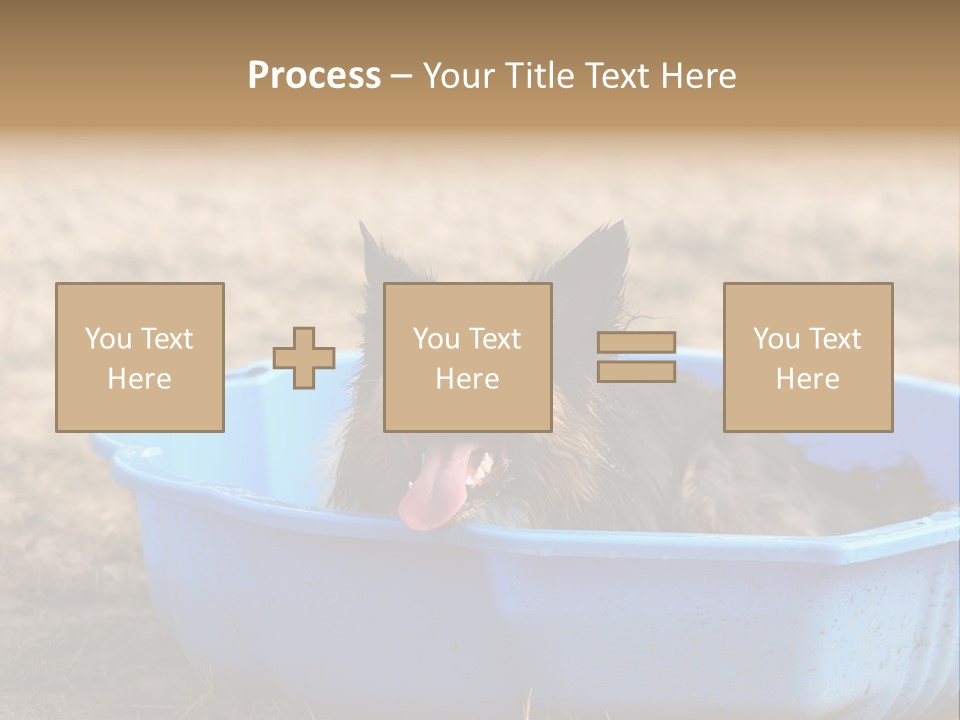 A Dog Sitting In A Blue Tub With His Tongue Out PowerPoint Template