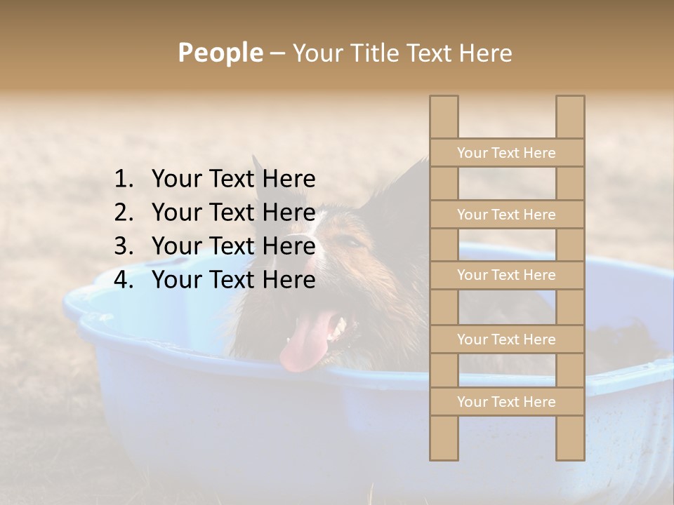 A Dog Sitting In A Blue Tub With His Tongue Out PowerPoint Template