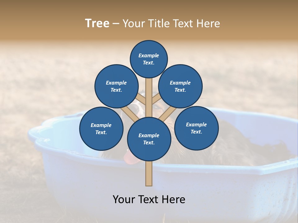 A Dog Sitting In A Blue Tub With His Tongue Out PowerPoint Template