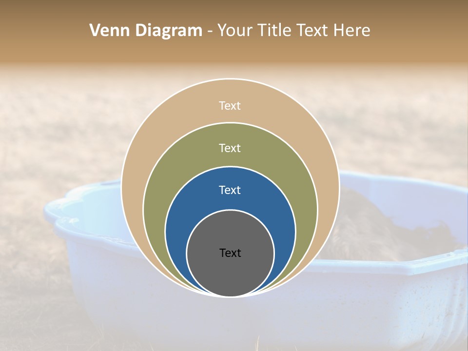 A Dog Sitting In A Blue Tub With His Tongue Out PowerPoint Template