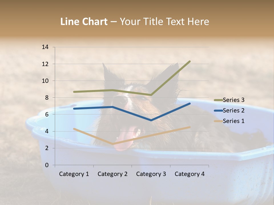 A Dog Sitting In A Blue Tub With His Tongue Out PowerPoint Template