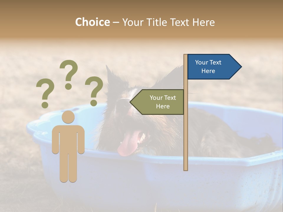 A Dog Sitting In A Blue Tub With His Tongue Out PowerPoint Template
