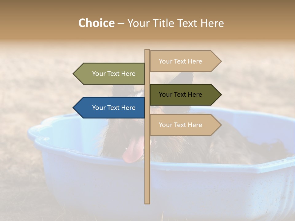 A Dog Sitting In A Blue Tub With His Tongue Out PowerPoint Template