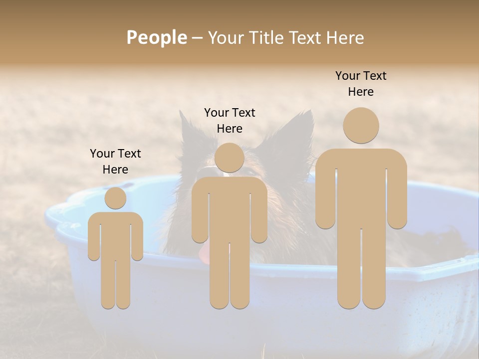 A Dog Sitting In A Blue Tub With His Tongue Out PowerPoint Template